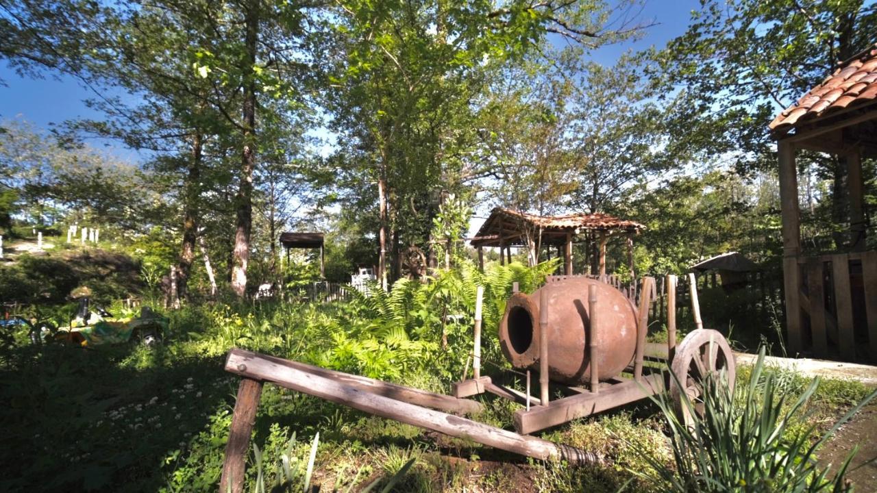 Guesthouse - Family Hotel Bagdati Buitenkant foto